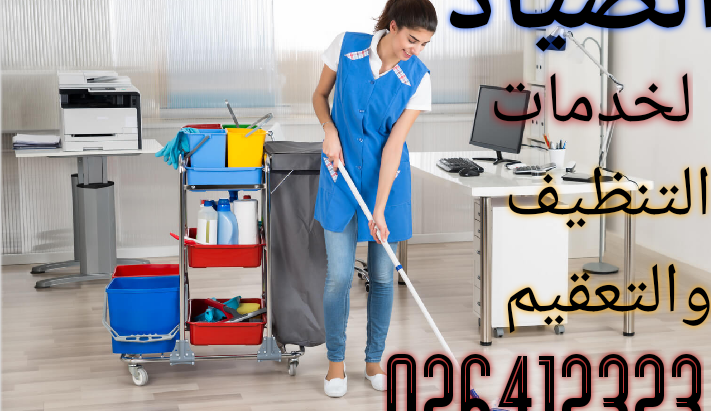 شركة نظافة فلل وشقق