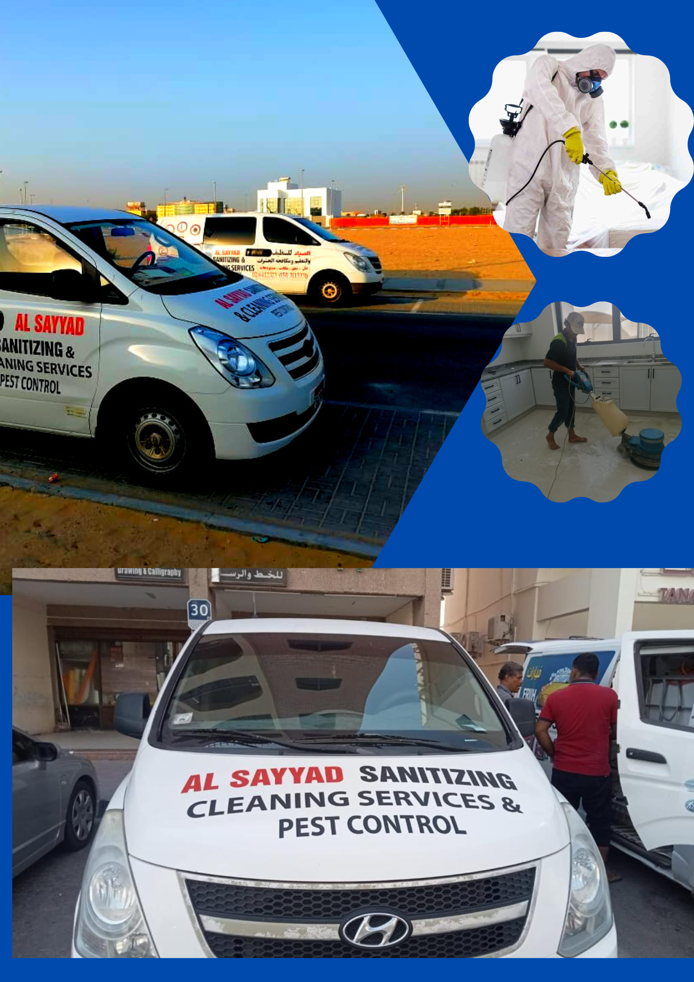 Pigeon Control Services in Abu Dhabi