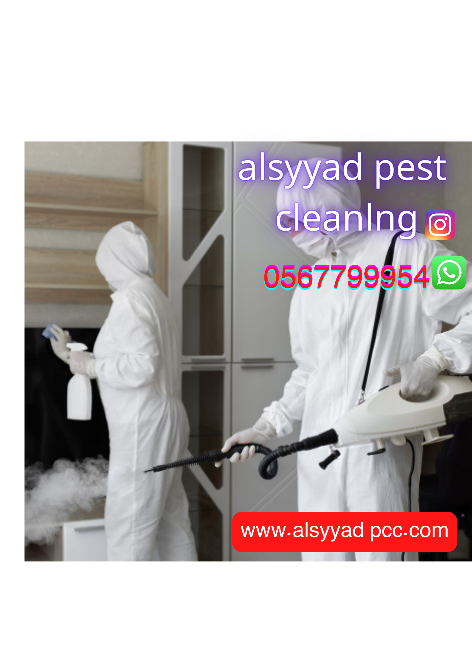 Pest Control Servicesin Abu Dhabi