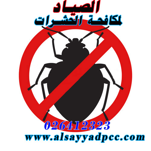 شركات الحشرات الفراش بق الفراش