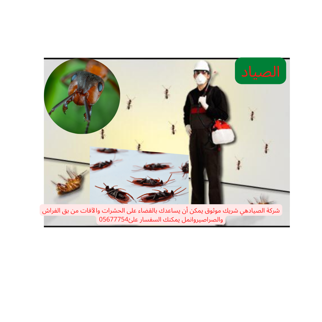اريد شركة رش النمل الأبيض الرمة