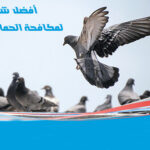 شركة مكافحة الحمام في ابوظبي0503115370