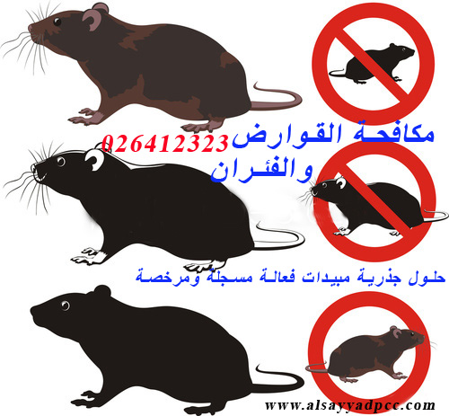 شركة القضاء على الفئران والجرذون