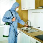 شركة مكافحة حشرات في الباهية